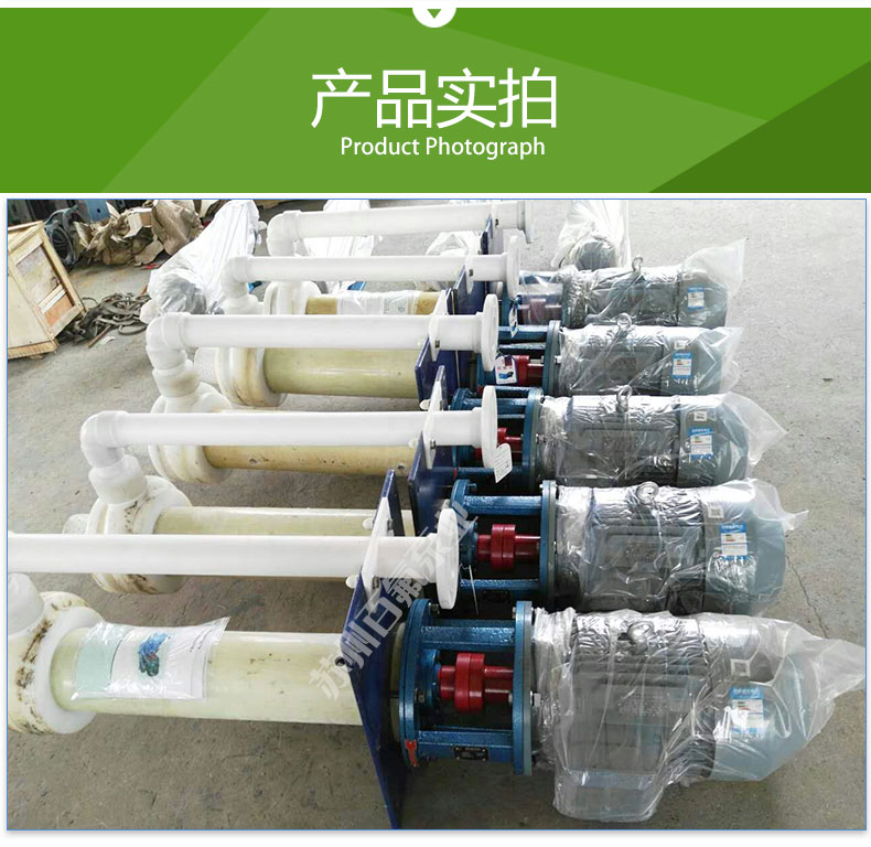 FYU型_耐腐耐磨液下泵（bèng）(圖6)