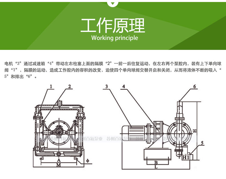 DBY型_電動隔（gé）膜泵(圖3)