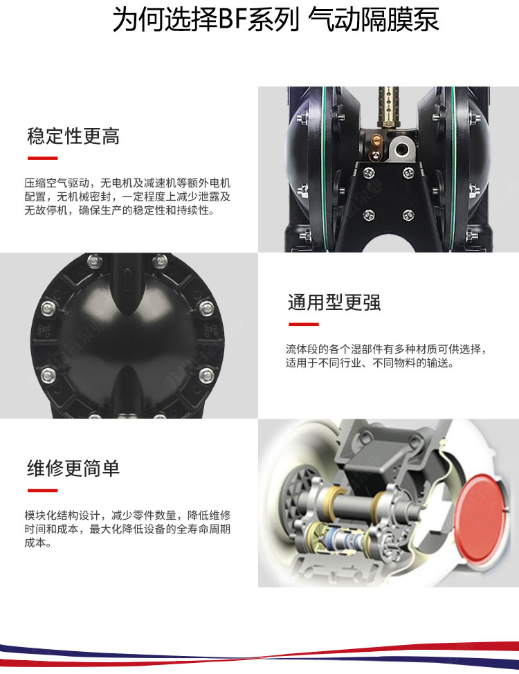 BF型大（dà）流量（liàng）氣（qì）動隔膜泵(圖4)
