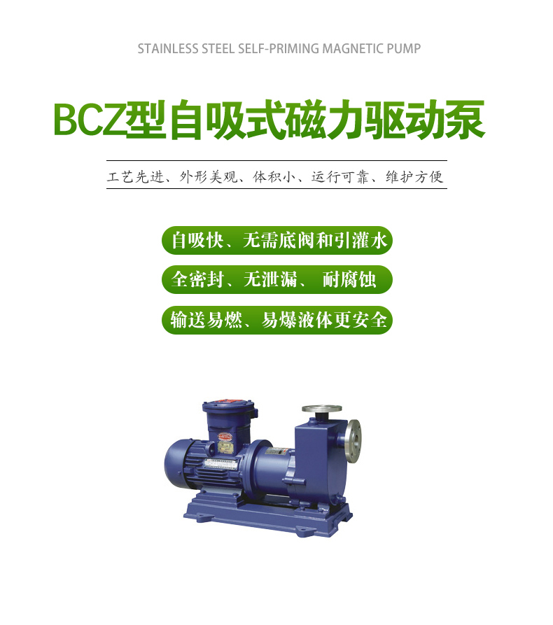 BCZ型_自吸式（shì）磁力泵(圖（tú）1)