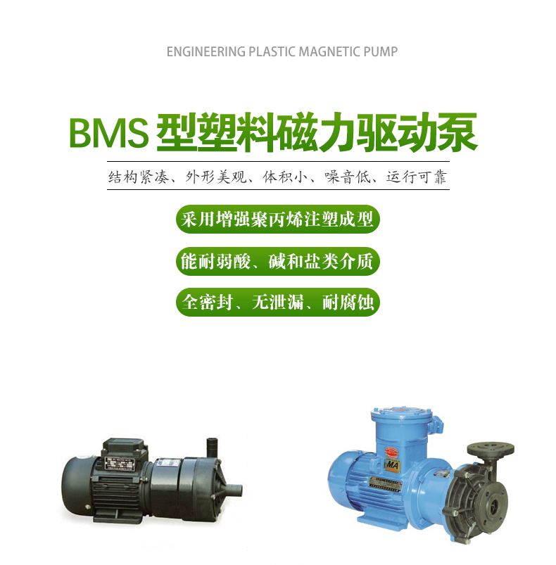BMS型_塑料磁力（lì）泵(圖（tú）1)